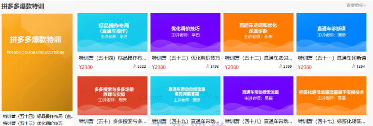 多多大师VIP拼多多运营培训课程价值2980元-创业项目致富网、狼哥项目资源库
