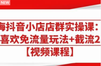大海抖音小店店群实操课：猜你喜欢免流量玩法+截流 2.0-创业项目致富网、狼哥项目资源库
