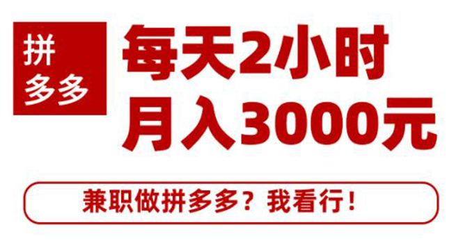 搜外网·拼多多副业课程，每天2小时月入3000元 学习这门课程真的能赚钱-创业项目致富网、狼哥项目资源库