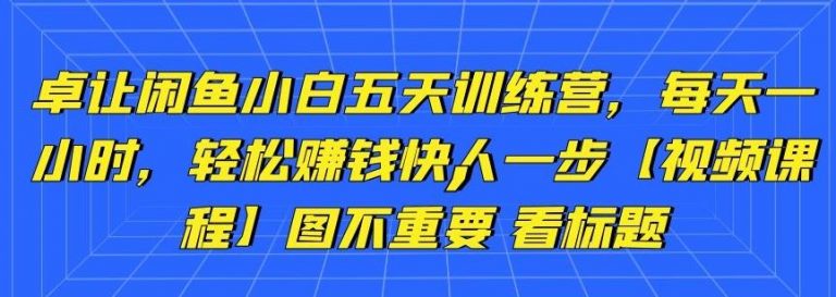 卓让闲鱼小白五天训练营，每天一小时，轻松赚钱快人一步-创业项目致富网、狼哥项目资源库
