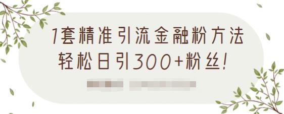 1套精准引流金融粉方法，轻松日引300+粉丝-创业项目致富网、狼哥项目资源库