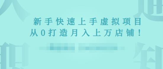 2022年虚拟项目实战指南，新手从0打造月入上万店铺-创业项目致富网、狼哥项目资源库