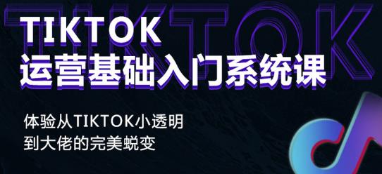 Tiktok实操进阶课程，体验从tiktok小透明到大佬的完美蜕变-创业项目致富网、狼哥项目资源库