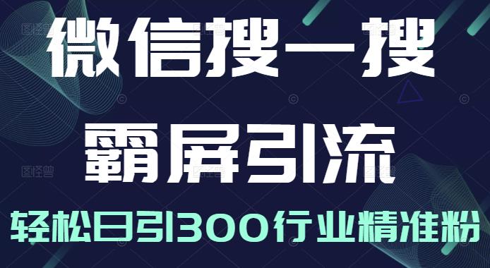 微信搜一搜霸屏引流课，打造被动精准引流系统，轻松日引300行业精准粉-创业项目致富网、狼哥项目资源库