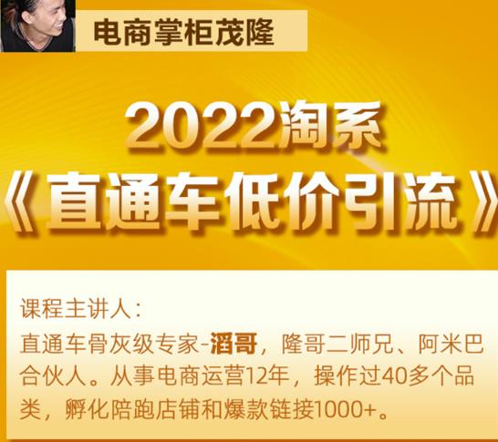 茂隆2022直通车低价引流玩法，教大家如何低投入高回报的直通车玩法-创业项目致富网、狼哥项目资源库