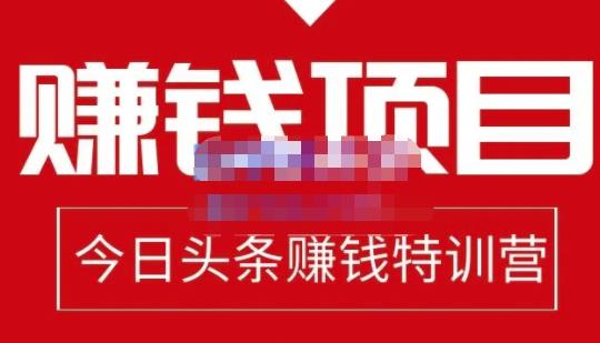 懒人领域·今日头条项目玩法，头条中视频项目，单号收益在50—500可批量-创业项目致富网、狼哥项目资源库