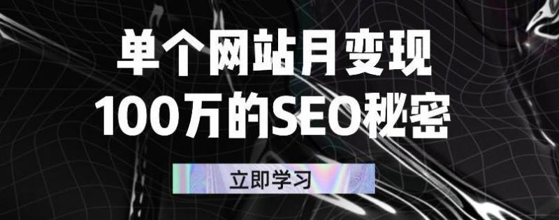 单个网站月变现100万的SEO秘密，百分百做出赚钱站点-创业项目致富网、狼哥项目资源库