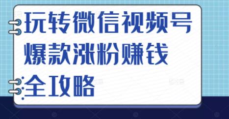 玩转微信视频号爆款涨粉赚钱全攻略，让你快速抓住流量风口，收获红利财富-创业项目致富网、狼哥项目资源库