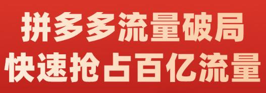 阿杰·拼多多流量破局:如何打黑标，爆款的思路，拼多多流量框架，快速抢占百亿流量-创业项目致富网、狼哥项目资源库