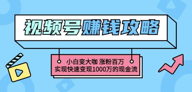 玩转微信视频号赚钱：小白变大咖涨粉百万实现快速变现1000万的现金流-创业项目致富网、狼哥项目资源库