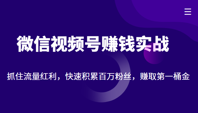 微信视频号赚钱实战：抓住流量红利，快速积累百万粉丝，赚取你的第一桶金-创业项目致富网、狼哥项目资源库