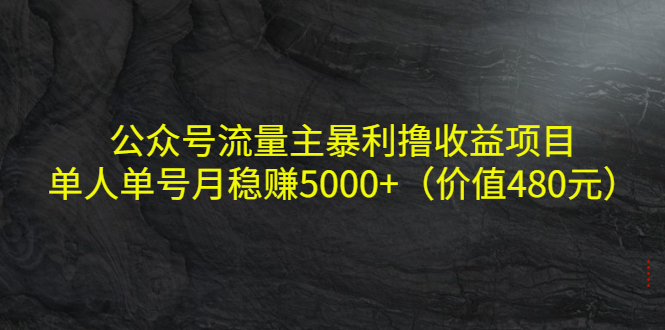 公众号流量主暴利撸收益项目，单人单号月稳赚5000+（价值480元）-创业项目致富网、狼哥项目资源库