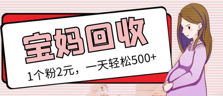 最新小红书母婴号宝妈粉回收项目，1个粉2元，一天轻松500+案例分享【粉丝包回收】-创业项目致富网、狼哥项目资源库