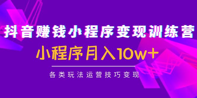 抖音赚钱小程序变现训练营：小程序月入10w+各类玩法运营技巧变现-创业项目致富网、狼哥项目资源库