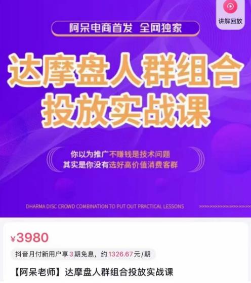 阿呆电商·达摩盘人群组合投放实战课，你以为推广不赚钱是技术问题，其实是你没有选好高价值消费客群-创业项目致富网、狼哥项目资源库