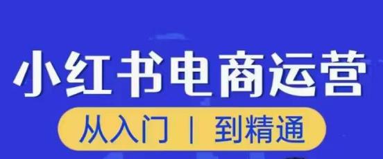 顽石小红书电商高阶运营课程，从入门到精通，玩法流程持续更新-创业项目致富网、狼哥项目资源库