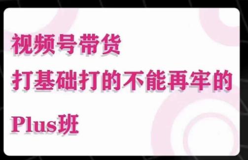 大播汇·视频号带货Puls班，视频号底层逻辑，起号自然流鱼塘等玩法-创业项目致富网、狼哥项目资源库