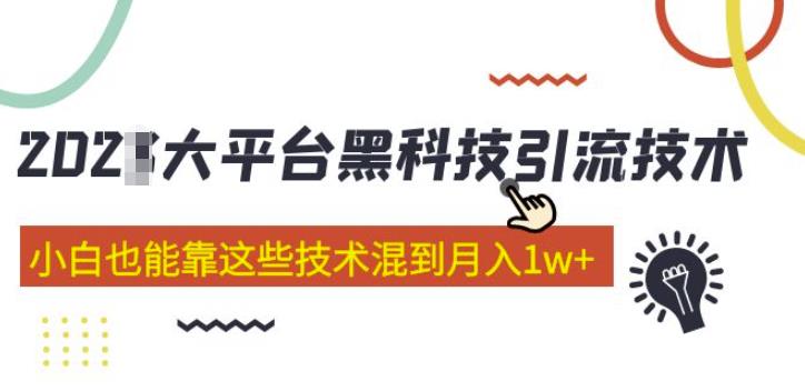大平台黑科技引流技术，小白也能靠这些技术混到月入1w+(2022年的课程）-创业项目致富网、狼哥项目资源库