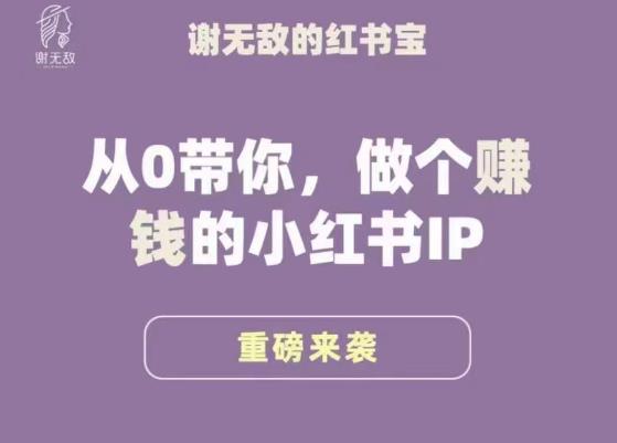 谢无敌·小红书运营大宝典，从0带你做个赚钱的小红书IP-创业项目致富网、狼哥项目资源库