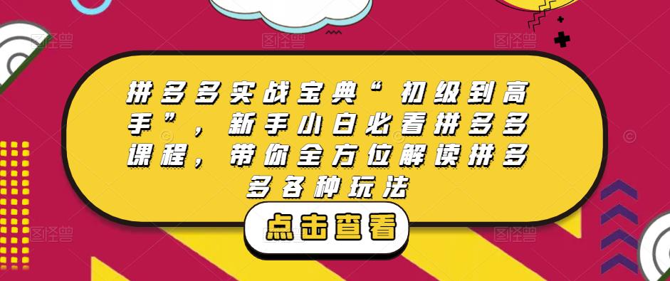 拼多多实战宝典“初级到高手”，新手小白必看拼多多课程，带你全方位解读拼多多各种玩法-创业项目致富网、狼哥项目资源库
