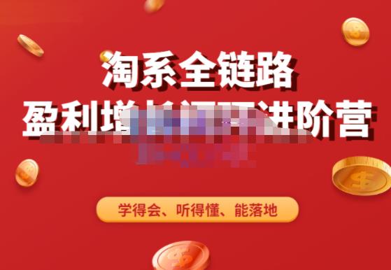 淘系全链路盈利增长闭环进阶营，融合全店动销，学得会、听得懂、能落地！-创业项目致富网、狼哥项目资源库