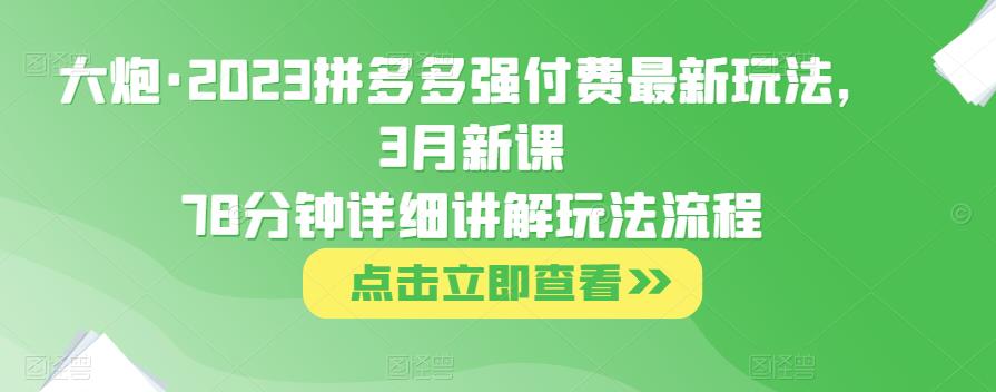 大炮·2023拼多多强付费最新玩法，3月新课​78分钟详细讲解玩法流程-创业项目致富网、狼哥项目资源库