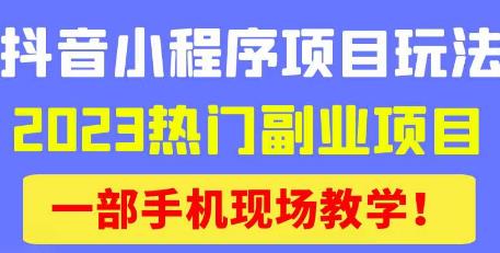 抖音小程序9.0新技巧，2023热门副业项目，动动手指轻松变现-创业项目致富网、狼哥项目资源库