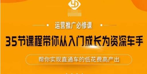 35节课程带你从入门成长为资深车手，让系统学习直通车成为可能，帮你实现直通车的低花费高产出-创业项目致富网、狼哥项目资源库