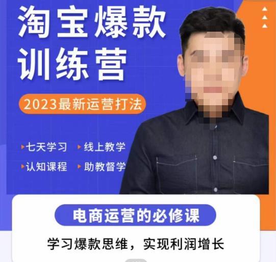 爱上黄昏·淘宝爆款训练营，2023最新运营打法，学习爆款思维，实现利润增长-创业项目致富网、狼哥项目资源库