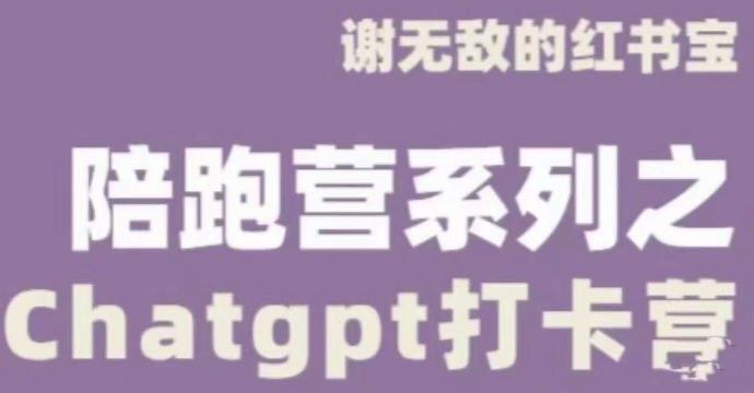 谢无敌ChatGPT打卡营，教你更好地使用ChatGPT来提高工作效率-创业项目致富网、狼哥项目资源库