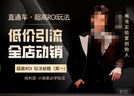 电商冰可乐·直通车·《低价引流·全店动销》，直通车·超高ROI玩法（其一）全店动销必学玩法-创业项目致富网、狼哥项目资源库