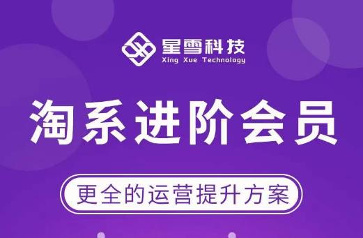 星雪·淘系进阶课程，快速提升突破技能流量瓶颈必备（更新2023年5月）-创业项目致富网、狼哥项目资源库
