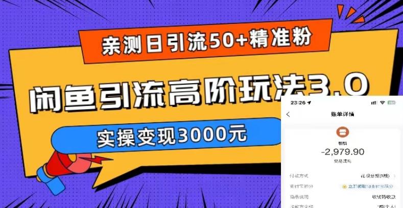 亲测日引50+精准粉，闲鱼引流高阶玩法3.0，实操变现3000元【揭秘】-创业项目致富网、狼哥项目资源库