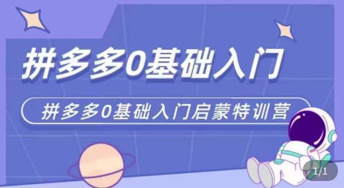 拼多多运营0-1实操特训营，拼多多0基础入门，从基础到进阶的可实操玩法-创业项目致富网、狼哥项目资源库