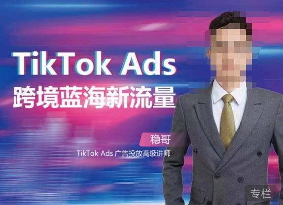 稳哥·如何投出高ROI的TikTok广告，开拓独立站卖家流量新蓝海-创业项目致富网、狼哥项目资源库
