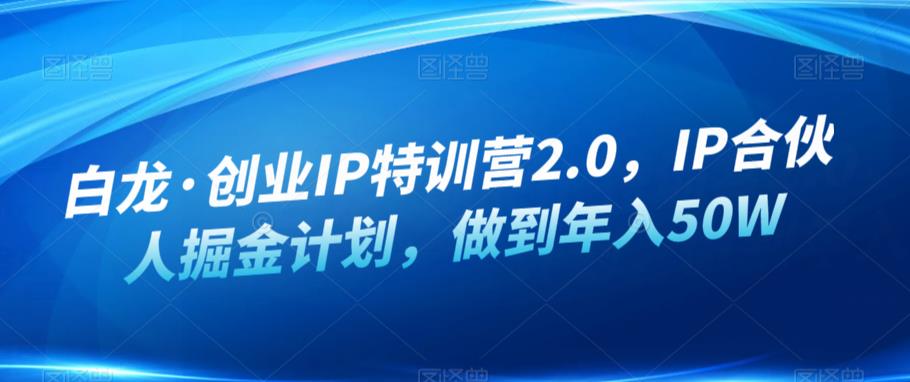 白龙·创业IP特训营2.0，IP合伙人掘金计划，做到年入50W-创业项目致富网、狼哥项目资源库