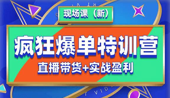 抖音短视频疯狂爆单特训营现场课（新）直播带货+实战案例-创业项目致富网、狼哥项目资源库