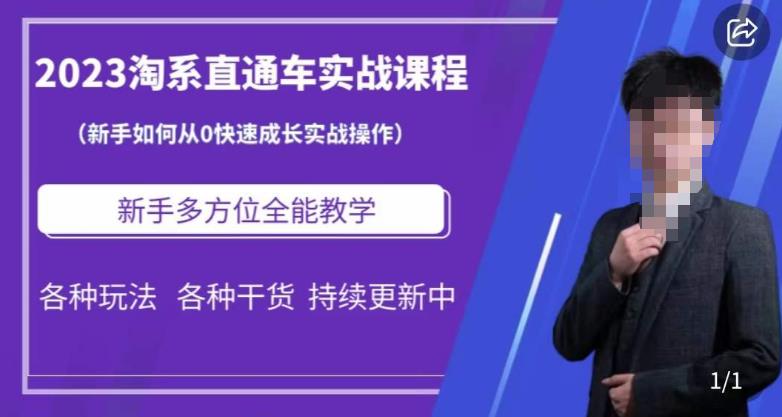 2023淘系直通车保姆式运营讲解，新手如何从0快速成长实战操作，新手多方位全能教学-创业项目致富网、狼哥项目资源库