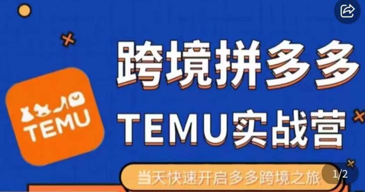 大鹏出海·拼多多跨境temu运营指导，开店注册+选品+核价上架，日出千单实战课-创业项目致富网、狼哥项目资源库