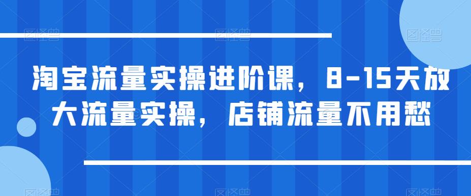 淘宝流量实操进阶课，8-15天放大流量实操，店铺流量不用愁-创业项目致富网、狼哥项目资源库
