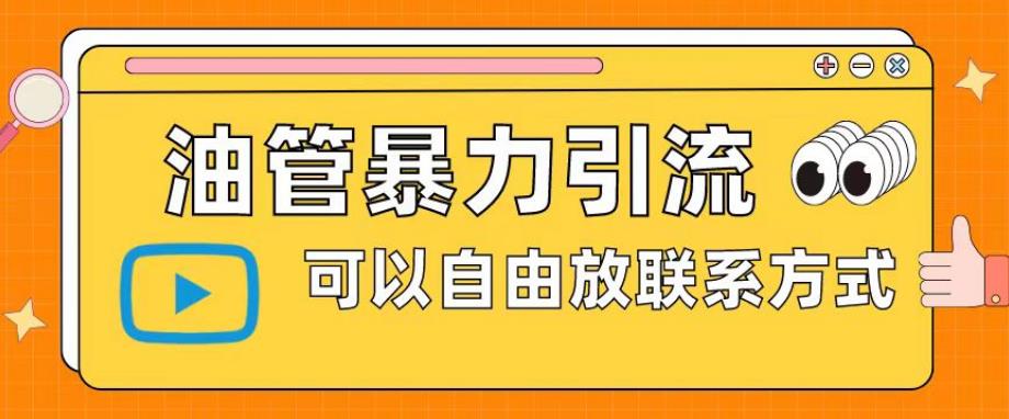 油管暴力引流，可以自由放联系方式【揭秘】-创业项目致富网、狼哥项目资源库