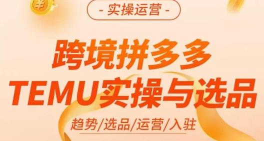 伍跃·跨境拼多多TEMU实操与选品，​趋势/选品/运营/入住（27节完整）-创业项目致富网、狼哥项目资源库