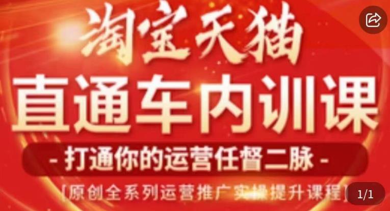 天问电商·2023淘宝天猫直通车内训课，零基础学起直通车运营实操课程-创业项目致富网、狼哥项目资源库