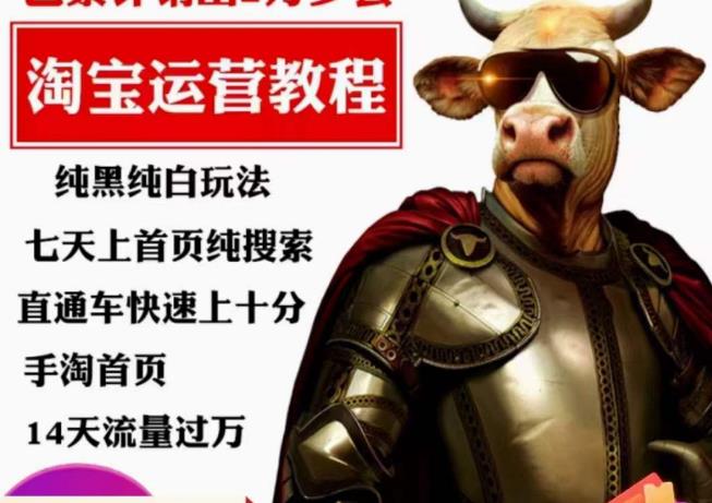 猫老师·淘系算法逆向解密，​纯黑纯白玩法，七天上首页纯搜索，手淘首页14天流量过万-创业项目致富网、狼哥项目资源库