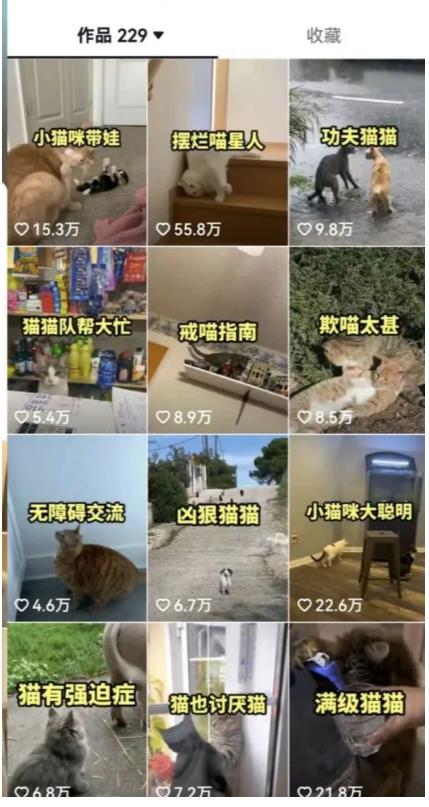 拆解：抖音盘点类中视频变现副业项目，视频版一条龙大解析分享给你-创业项目致富网、狼哥项目资源库