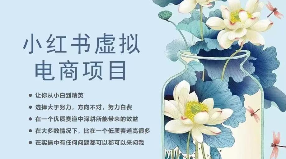 小红书虚拟电商从0到1，让你从小白到精英（20节实操课程）-创业项目致富网、狼哥项目资源库