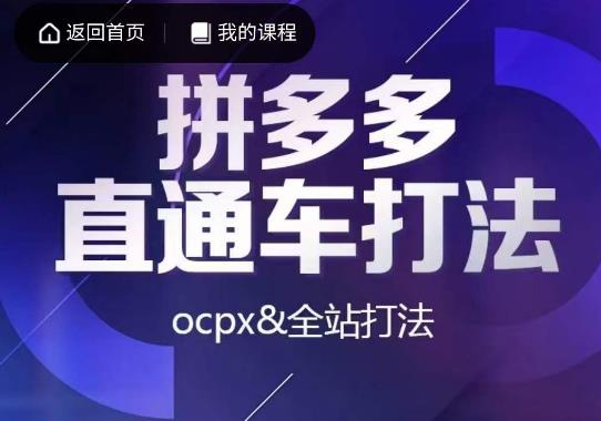 互力·拼多多直通车打法，ocpx&全站打法-创业项目致富网、狼哥项目资源库