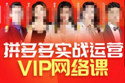 推易拼多多VIP全套直播课程，拼多多店铺实操玩法+实战玩法选款内功+直通车高阶等-创业项目致富网、狼哥项目资源库