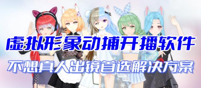 虚拟形象动作捕捉开播软件，首款AI视频动捕辅助直播产品【不想真人出镜就用虚拟形象替代】插图