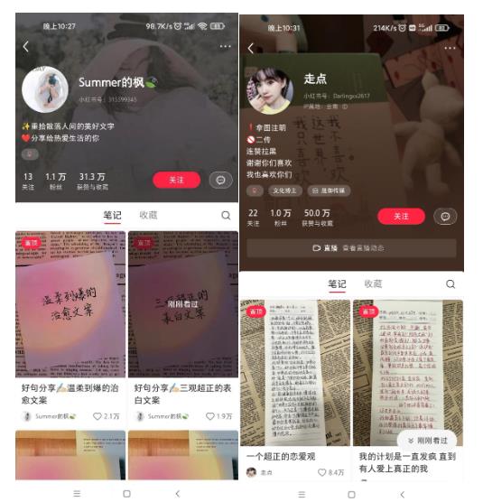 AI批量制造小红书爆款笔记+小红书无货源,玩法一条龙实操,小白也能轻松日入500+【揭秘】插图2 AI批量制造小红书爆款笔记+小红书无货源,玩法一条龙实操,小白也能轻松日入500+【揭秘】插图2